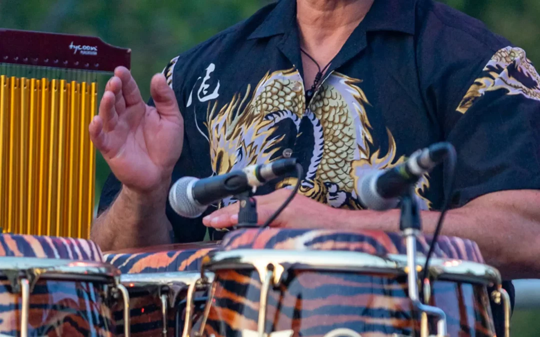 Nasser SAIDANI – Congas